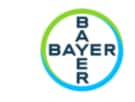 Bayer Cross Logo